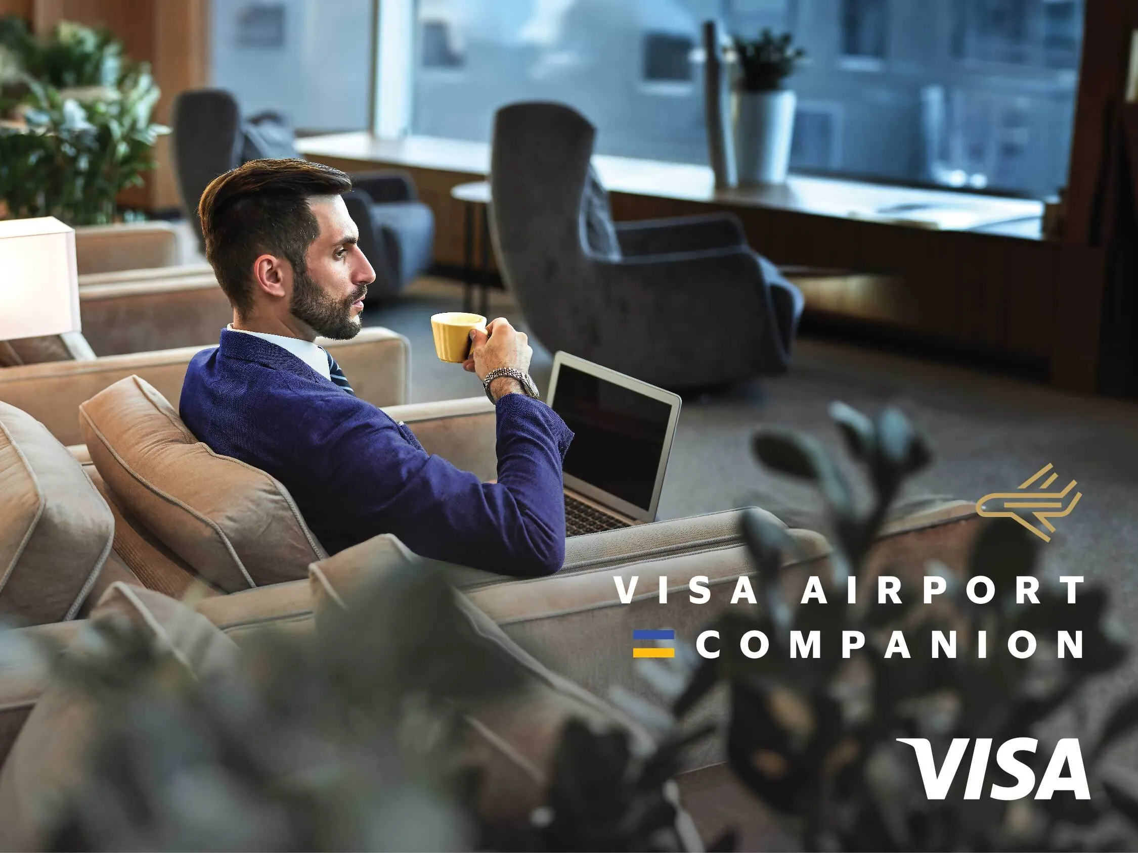 VISA Companion_banner 3