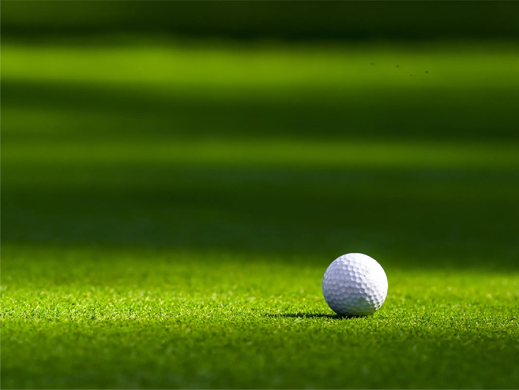Premium Web banners-MC Golf-min