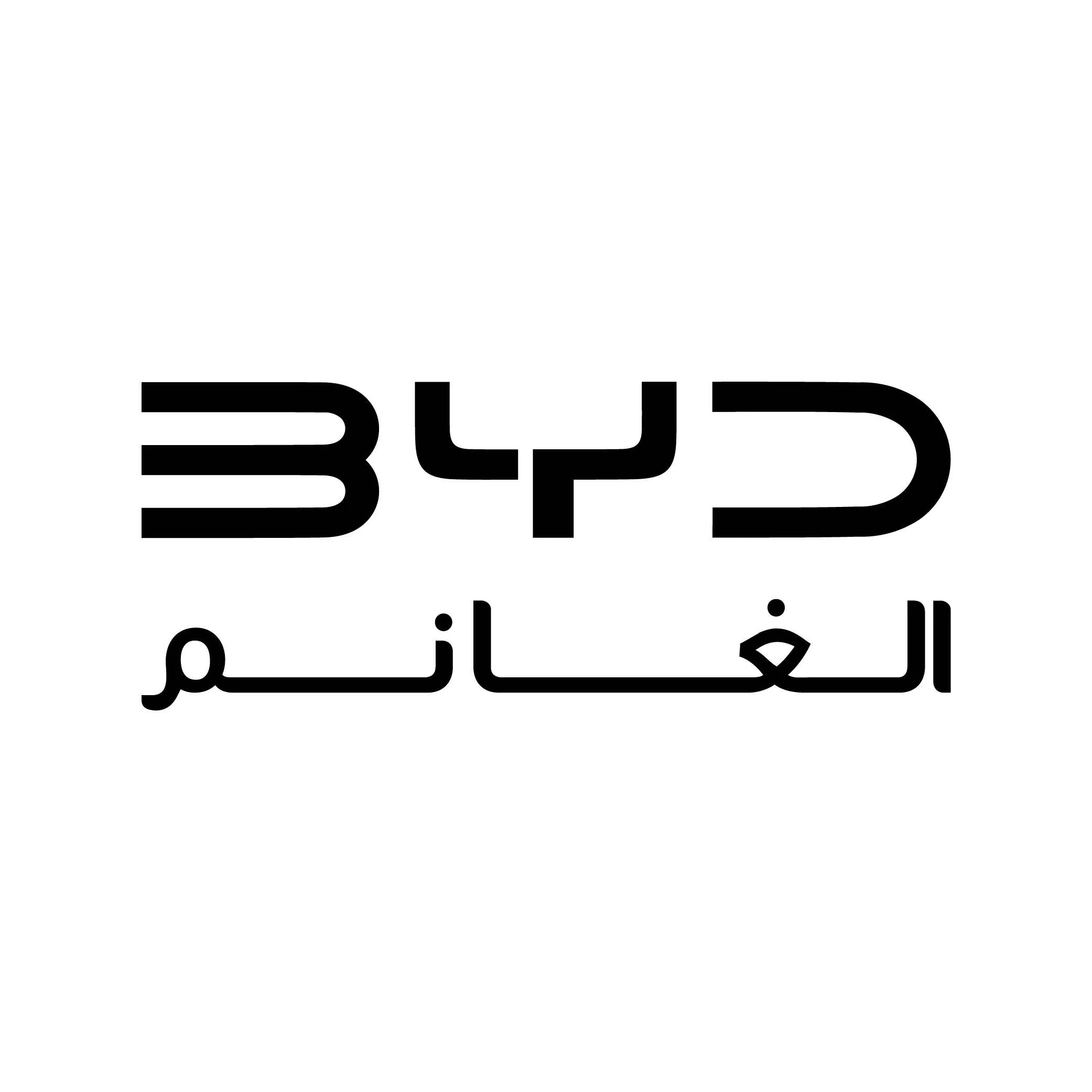 BYD 500x500 AR
