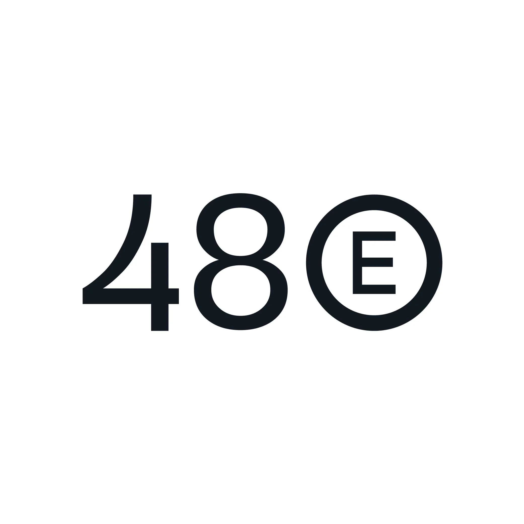 500x500_48 e