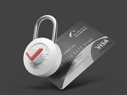 WEB-BANNERS-VS_Fraudulent Card-Misuse Protection copy